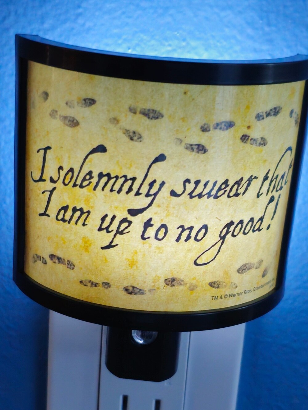 *Harry Potter 'I Solemnly Swear I'm Up To No Good' Night Light*